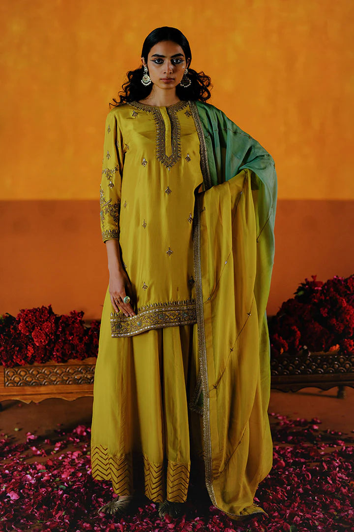 HINGOT KURTA SHARARA DUPATTA SET